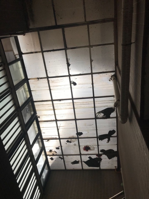 陽光板頂棚.jpg 陽光板頂棚.jpg